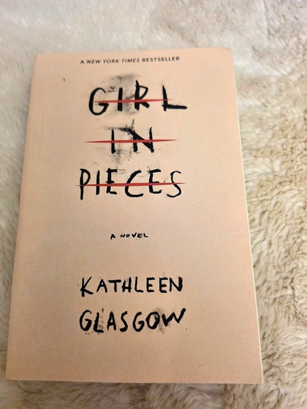 Ember Girl in Pieces Novel Paperback